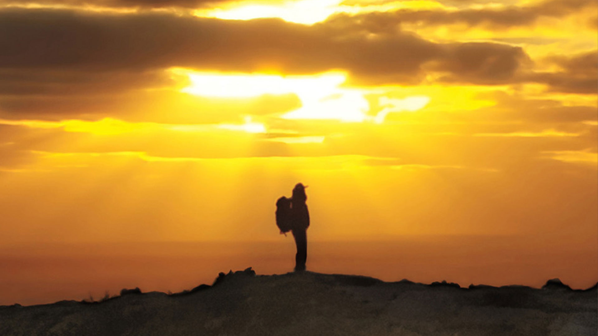 500 Days in the Wild