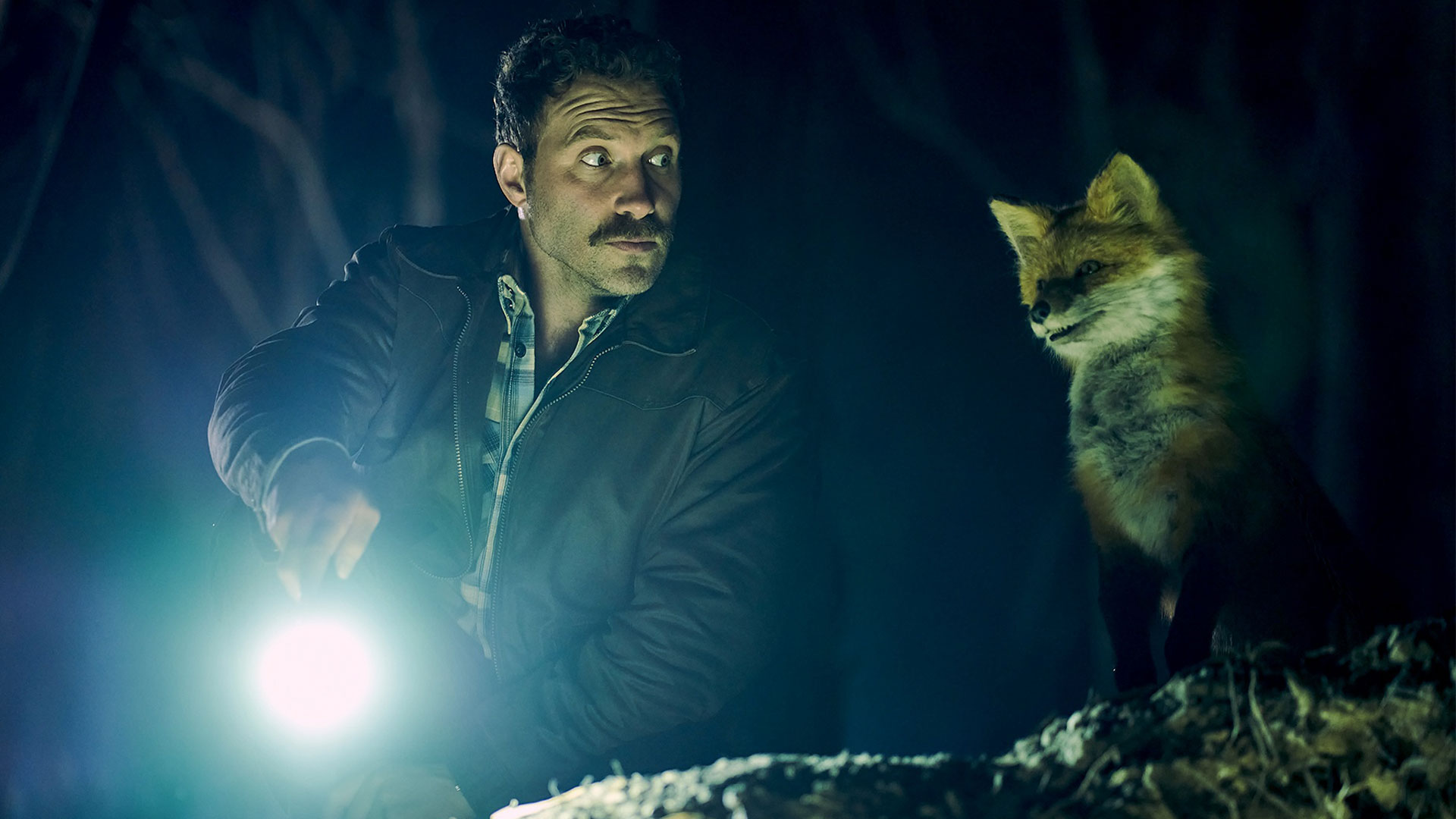 The Fox